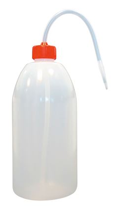 00500.JPG