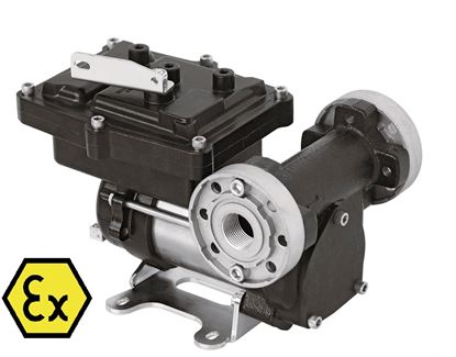 Immagine di 2772 ELETTROPOMPA BENZINA ATEX 12V