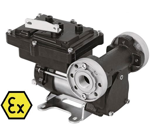 Immagine di 2772 ELETTROPOMPA BENZINA ATEX 12V