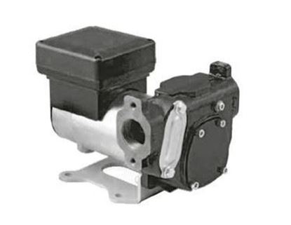 Immagine di 2740 ELETTROPOMPA GASOLIO 12/24V