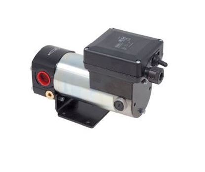 Immagine di 2745 ELETTROPOMPA OLIO 12/24V
