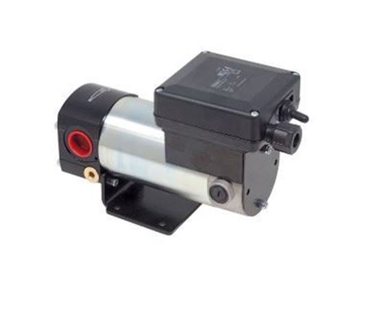 Immagine di 2745 ELETTROPOMPA OLIO 12/24V